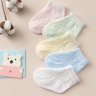 Set 5 đôi vớ tất lưới mùa hè cao cấp siêu xinh cho bé