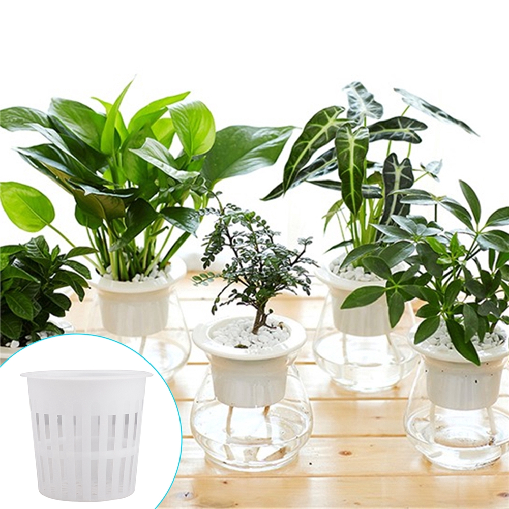 10 Cốc Nhựa Trồng Cây