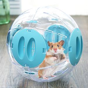 Bóng chạy mika hamster , sóc