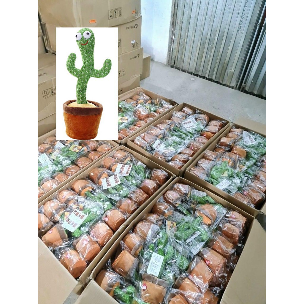 Cây Xương Rồng Khiêu Vũ Nhảy Múa Phát Ra Âm Thanh Vui Nhộn - Xương rồng thu âm nhại tiếng