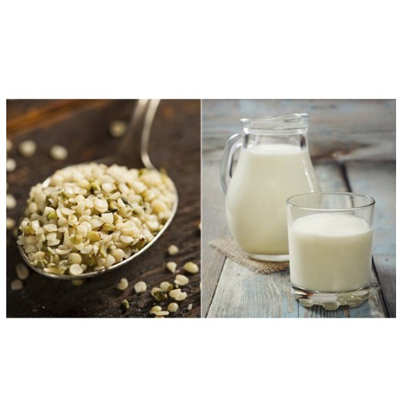 Hạt Gai Hữu Cơ Sottolestelle 250g