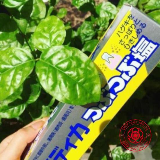 Kem đánh răng muối Sunstar 170g Nhật bản