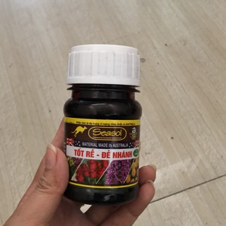 Phân bón - Seasol - tốt rễ, đẻ nhánh