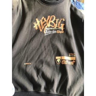 Áo Sweater (nhung nguyen chon live gau bong)