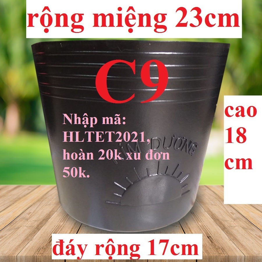 (BÍT LỖ, KHÔNG LỖ) COMBO 50 CÁI CHẬU C9 BÍT LỖ TÁCH FORM NUÔI CÁ BETTA TRỒNG SEN HIỆU KIM DƯƠNG