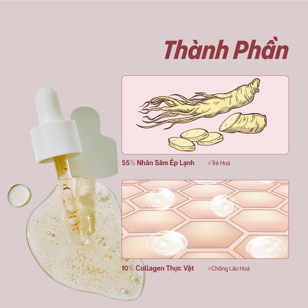 Tinh chất nhân sâm trẻ hoá Vegick Super Repairing Serum 30ml