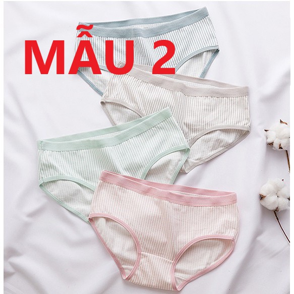 [Mã WASTDEP giảm 5K đơn bất kì] [CÓ SIZE L Quần lót nữ, quần lót cotton siêu thấm mút mồ hôi QC35 | BigBuy360 - bigbuy360.vn