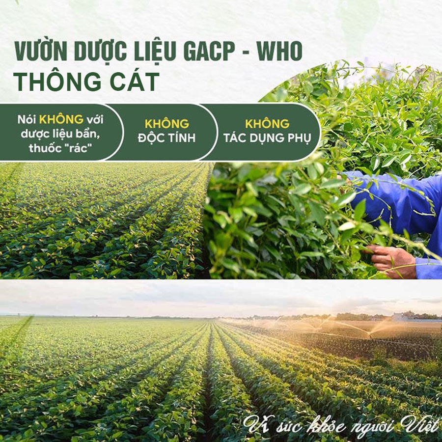 Set quà tặng dưỡng da mặt Rạng Rỡ THÔNG CÁT  ý nghĩa cho phụ nữ giúp dưỡng trắng và cấp ẩm cho da, giảm mụn