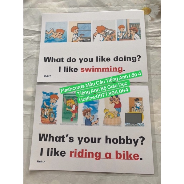 Combo Flashcard  Mẫu Câu Lớp 1-2-3-4-5