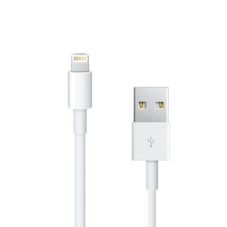 Cable sạc Lightning dài 20cm cho Pin dự phòng
