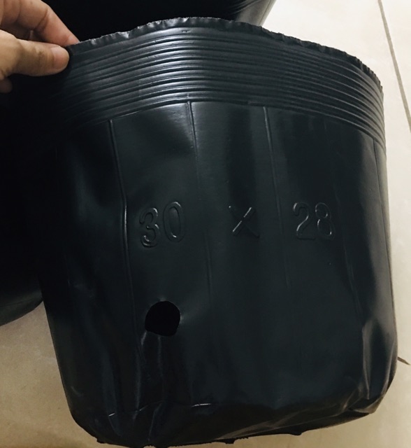 1kg túi ươm cây size to