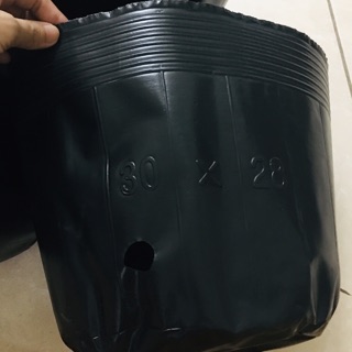1kg túi ươm cây size to