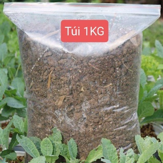 1kg phân bò khô thô trộn đất bón lót tạo mùn.
