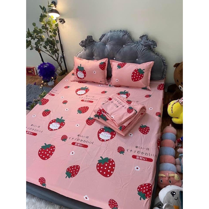 Chăn Hè , Chăn Cotton Poly Hàn Quốc Kích Thước 1M9X2M