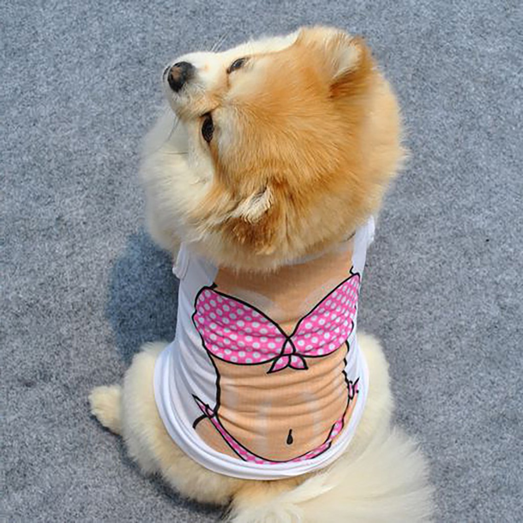 Áo bikini thời trang mùa hè cho thú cưng