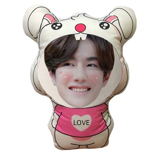 Gối ôm hình Vương Nhất Bác Wang Yibo phiên bản búp bê dễ thương, hình người Happy Birthday kích thước dài 30cn