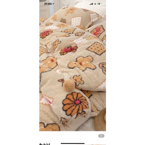 Chăn bông tuyết TEDDY Hàn Quốc siêu ấm size 2m-2m3, nặng 4,5kg