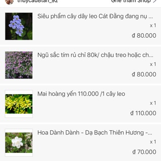 Combo 1cát đằng,1ngũ sắc tím rủ,1 bạch thiên hương 70 ,1 mai hoàng Yến giá chỉ 340k