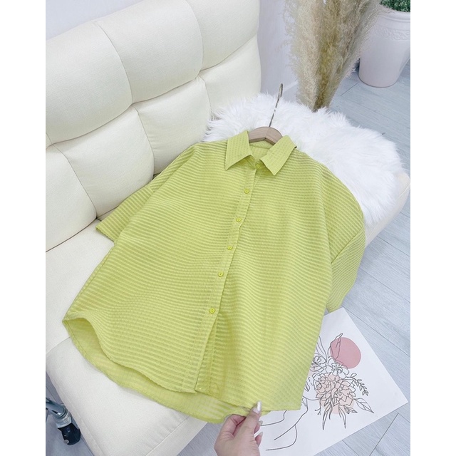 [ CHUBBY BIGSIZE ] SƠ MI Ô NỖI FORM RỘNG BIGSIZE