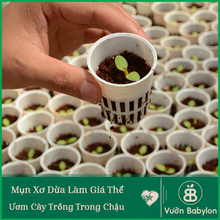 Giá Thể Mùn Xơ Dừa Trồng Cây Sfarm Chất Lượng Cao Bao 20dm3