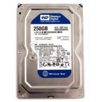 Ổ cứng HDD WD Western 250GB - Bảo Hành 24 Tháng  - SPANA