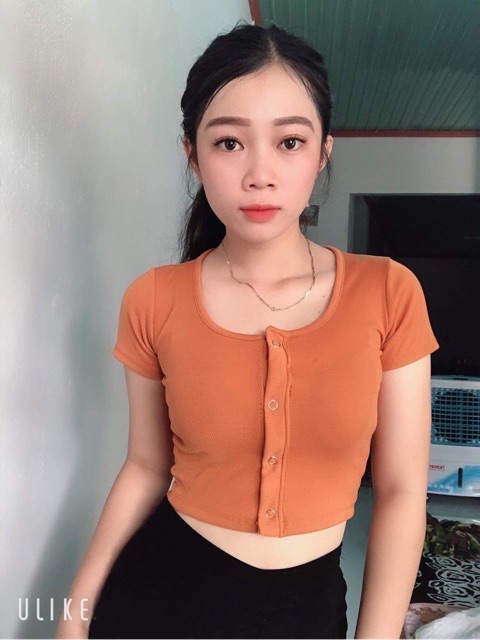 Áo crotop ( Hình thật 100%)
