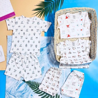 Bộ cộc tay chất pettit