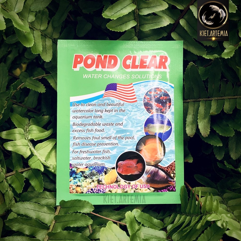 Vi sinh trong nước hồ cá - Pond clear