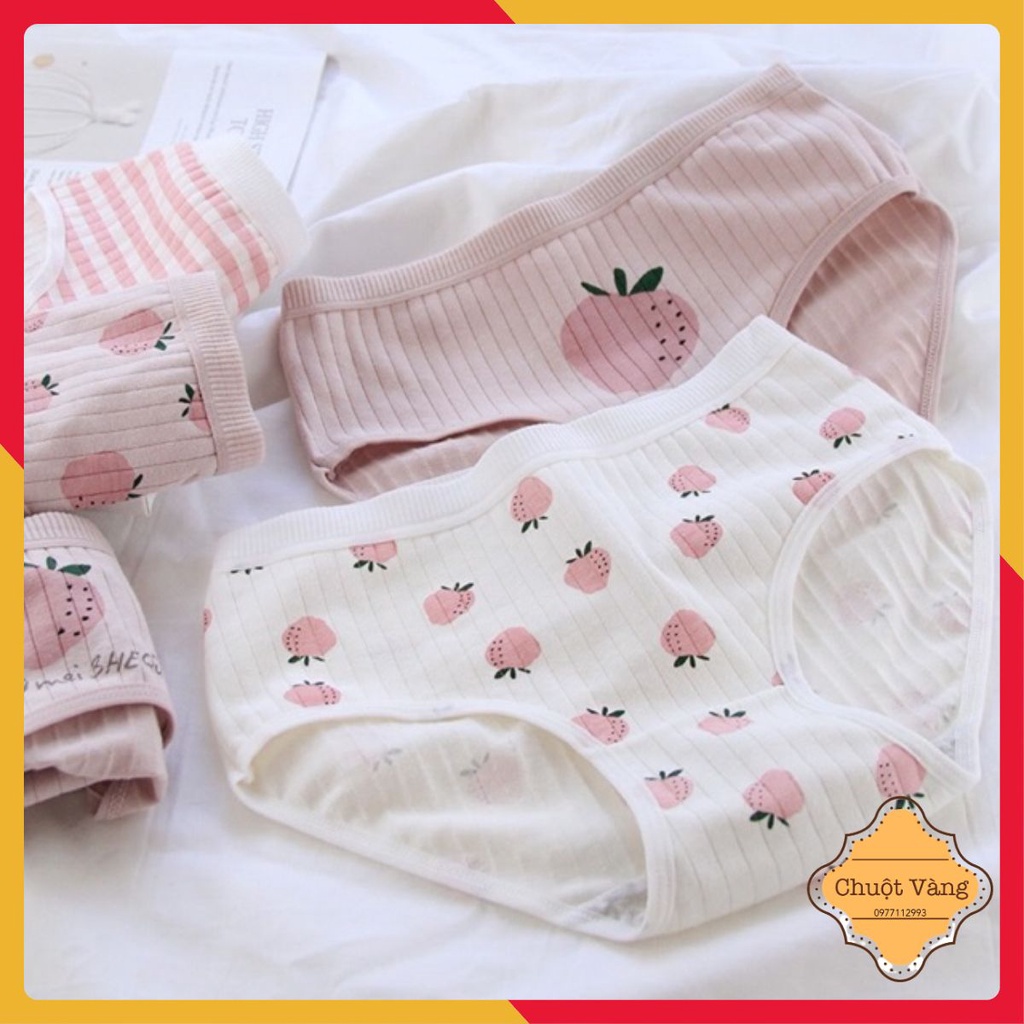 Set 10 quần lót cotton hoạ tiết dâu tây