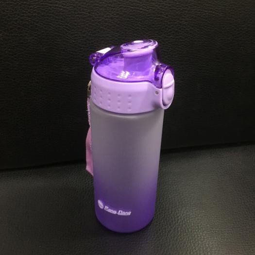 Bình đưng nước cầm tay mini nhỏ gọn GIÁ SIÊU RẺ Rạng Đông 500ml -  Model: RD-05P1