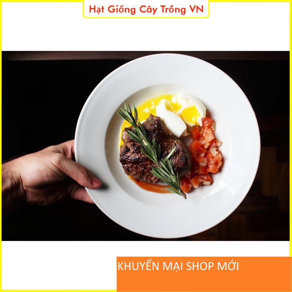 Hạt giống Cây Hương Thảo - Gói 15 Hạt khuyến mại shop mới