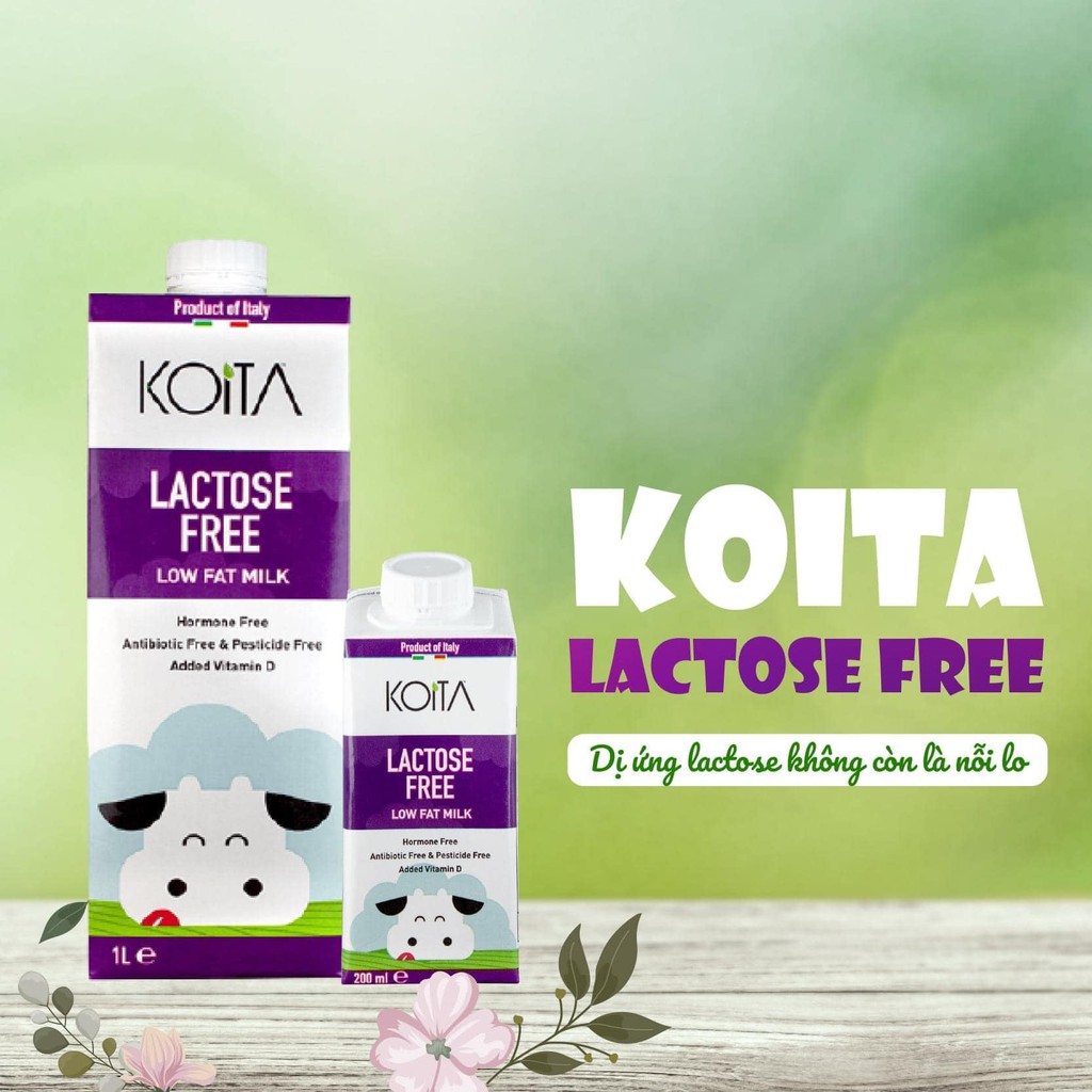 24 sữa freelactose hữu cơ Koita 200ml