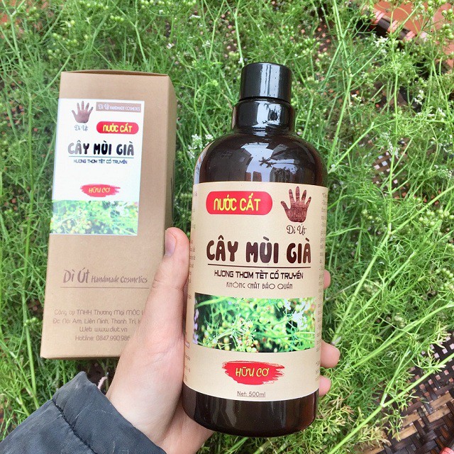 Nước cất cây mùi già