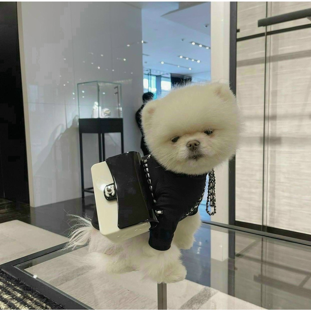 Túi CN hộp nhựa SP