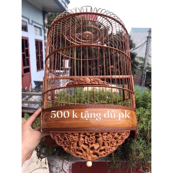 choè đất tiểu mi và Yến