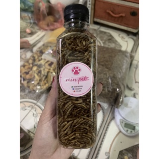 Sâu khô cho hamster , đuôi mập , nhím ....