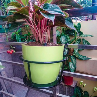 Giỏ Sắt Treo Hoa Ban Công