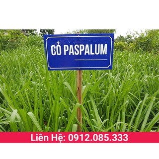 Giống cỏ chăn nuôi ubon paspalum chịu ngập úng, thời tiết lạnh có hàm lượng dinh dưỡng cao gói 100g