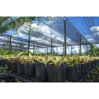 Lưới che nắng 60% Thái Lan khổ 4m cho Lan Cây cảnh Hoa.