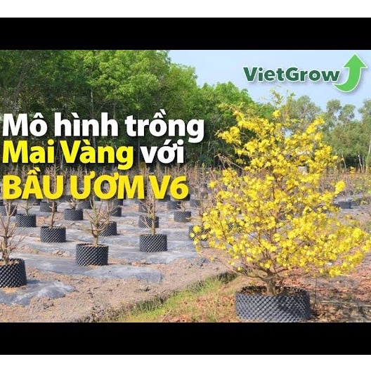 Bầu Ươm cây V6 Cao 30cm Thông Minh Vietgrow (tặng kèm ốc vít) Hàng Chuẩn, Loại Tốt