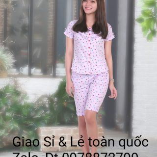 BỘ MARINO HỌA NHÍ