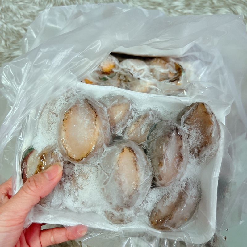 BÀO NGƯ 500gr ( 10-11con) HOẢ TỐC