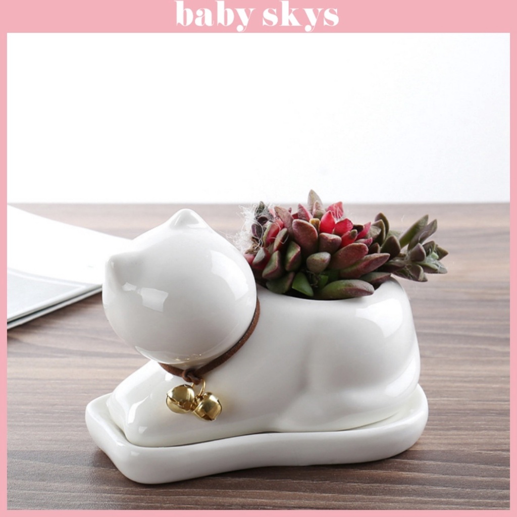 Chậu Trồng Cây Cảnh Mini Sen Đá Xương Rồng Hình Mèo Có Khay Lỗ Thoát Nước