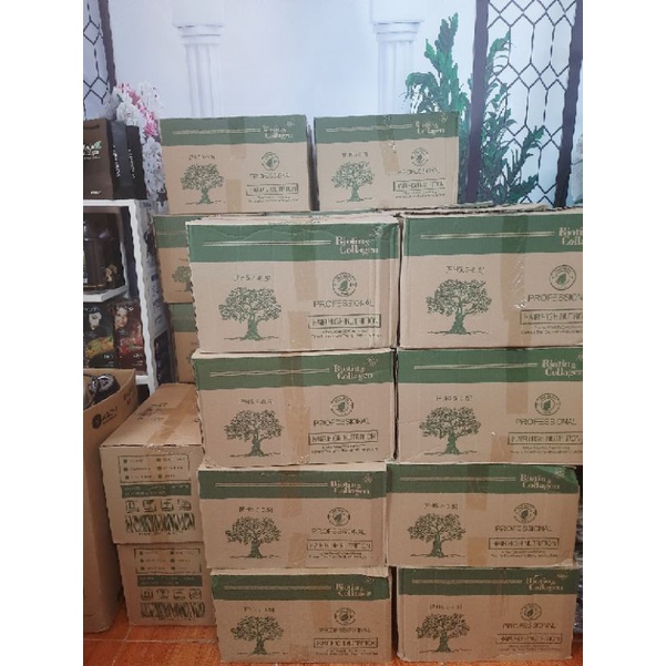 Dầu Cặp Biotin chính Hãng siêu Mọc tóc phục Hồi Hư Tổn Km Sốc | BigBuy360 - bigbuy360.vn