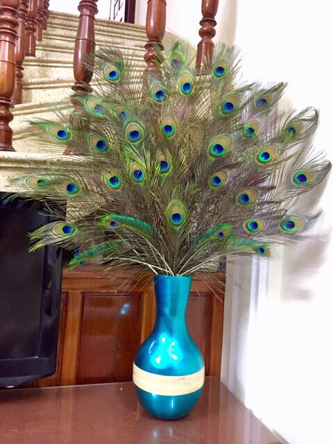 Lông công 80-90cm mắt to đẹp đều 4-6cm | BigBuy360 - bigbuy360.vn