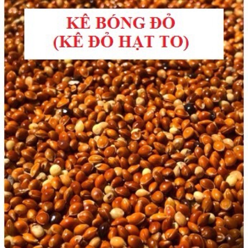 Kê đỏ loại to - 1kg