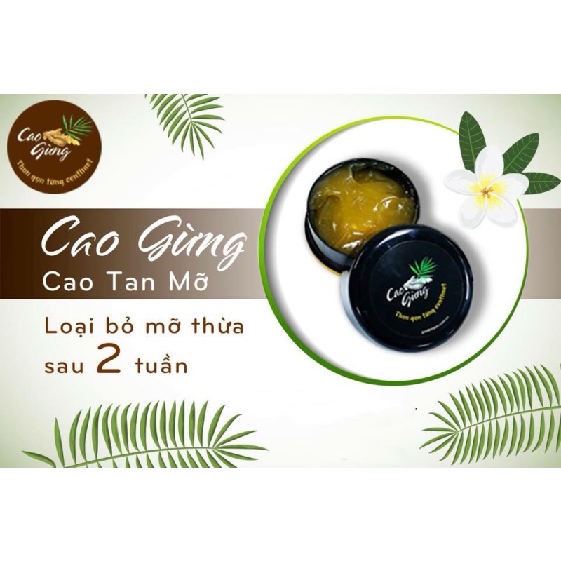 Cao gừng tan mỡ chính hãng THIÊN NHIÊN VIỆT tan mỡ bụng Cát Tường 200g + tặng Thanh lăn cao gừng nghệ đỏ