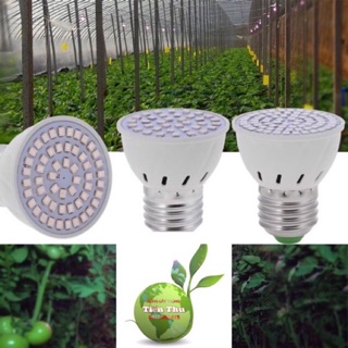 SET 3 chiếc Đèn LED quang phổ toàn phần trồng cây- Chuyên dùng trồng cây trong nhà - Cây thiếu ánh sáng