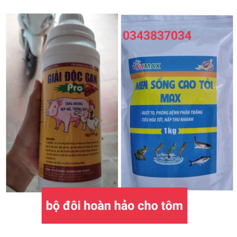 MEN SỐNG CAO TỎI THỦY SẢN