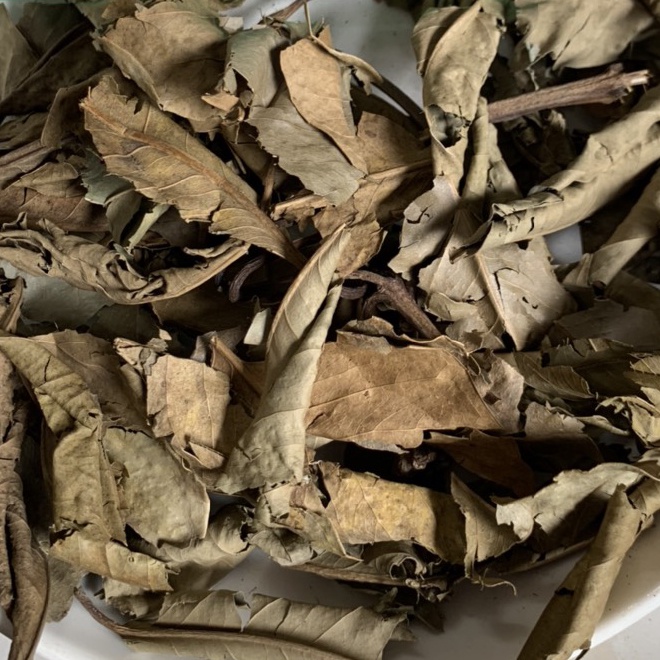 Lá Vối Nếp 500g [Sạch, Nguyên Chất] Hỗ Trợ Bệnh Gút, Tiểu Đường, Lá Vối Khô Tự Nhiên Giúp Thanh Nhiệt, Lợi Sữa